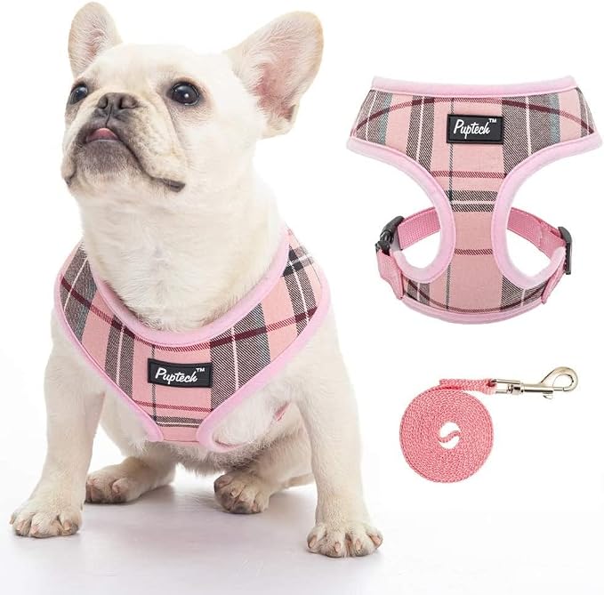 PUPTECK Soft Mesh Dog Harness and Leash Set Pet Puppy Cat Comfort Padded Vest by PUPTECK