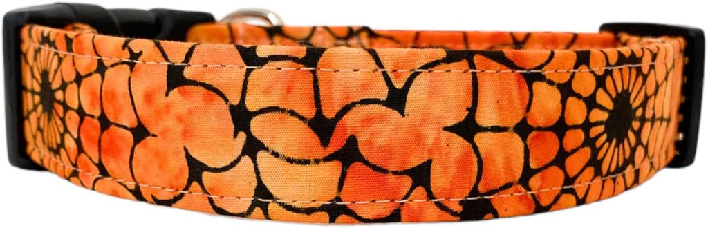 Orange Web Halloween Dog Collar by Collars+by+Design