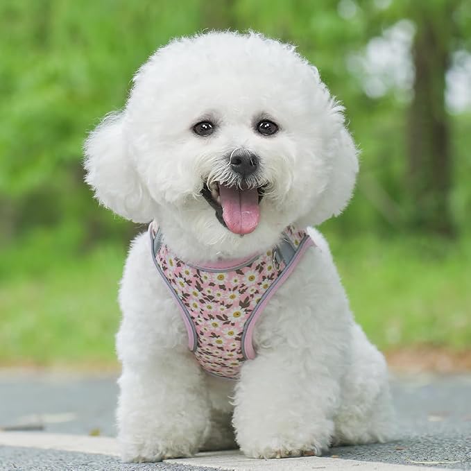 Step in Dog Harness and Leash Set, Flower Adjustable Easy Walk Puppy Harnesses - Image 6
