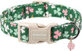 Lionet Paws St. Patrick Dog Collar- Cute Clover Green Dog Collars by lionetpaws