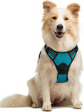 rabbitgoo Dog Harness No Pull by rabbitgoo