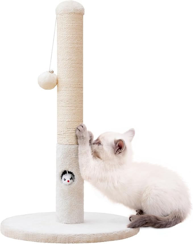 Cat Scratching Post for Kitten, 23in Tall Cute Small Cat Scratching Post - Image 8
