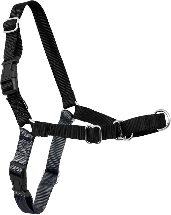 PetSafe Easy Walk Harness for Dogs by PetSafe