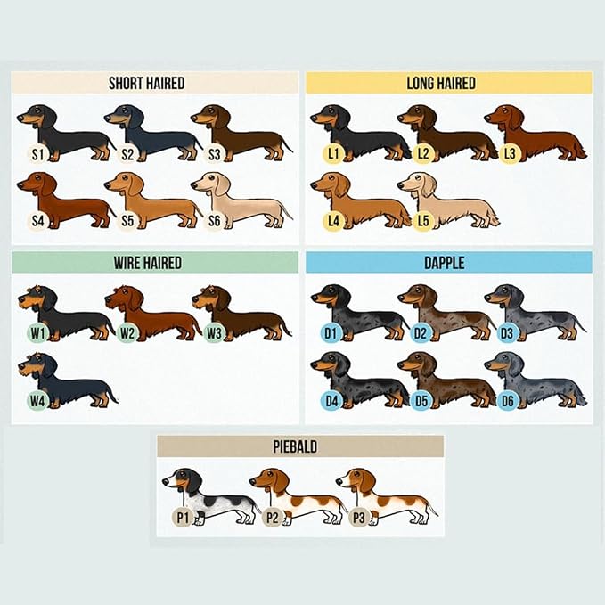 Customized Dachshund Crewneck, Custom Dog Pullover, Personalized Sausage Dog - Image 7