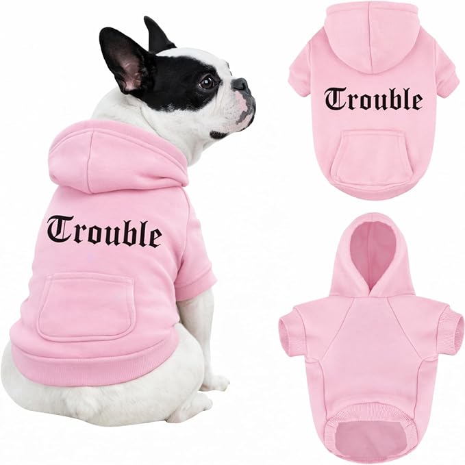 Personalized Dog Hoodie, Custom Embroidered/Printed Name Pet Hoodie, Warm by Unknown