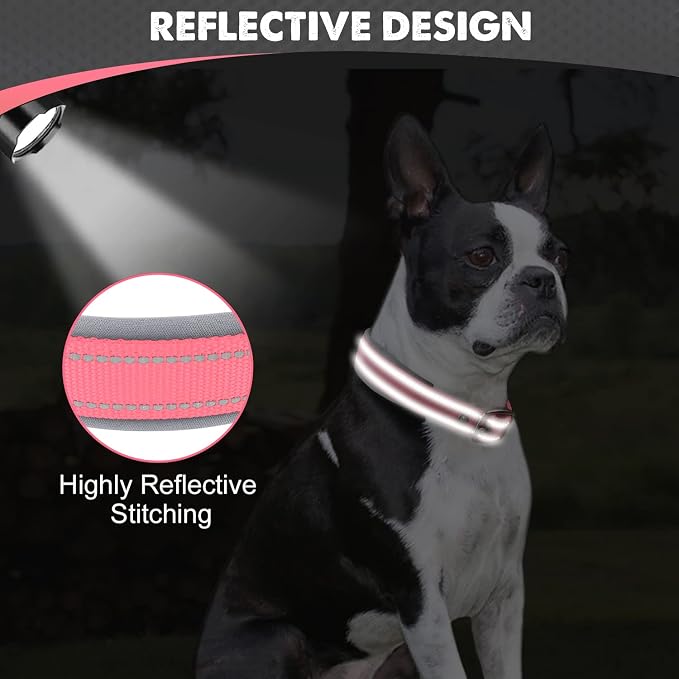 Joytale Dog Collar for Medium Dogs, Neoprene Padded and Adjustable, Reflective - Image 4