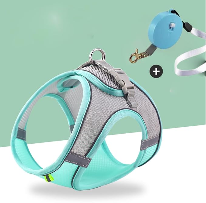 Retractable Leash and Harness for Small Pet, Lightweight, Handsfree Clip Cat - Image 9