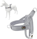 Plutus Pet No Pull Dog Harness by PLUTUSPET