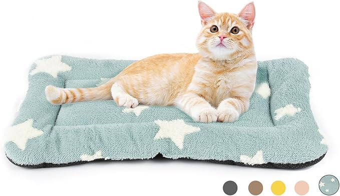 Mora Pets Cat Bed for Indoor Cats Washable Dog Crate Pad Cute Star Dog Bed Mat by MoraPets