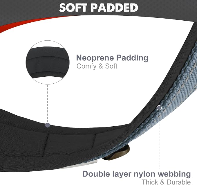 Joytale Dog Collar for Extra Large Dogs, Neoprene Padded and Adjustable - Image 2
