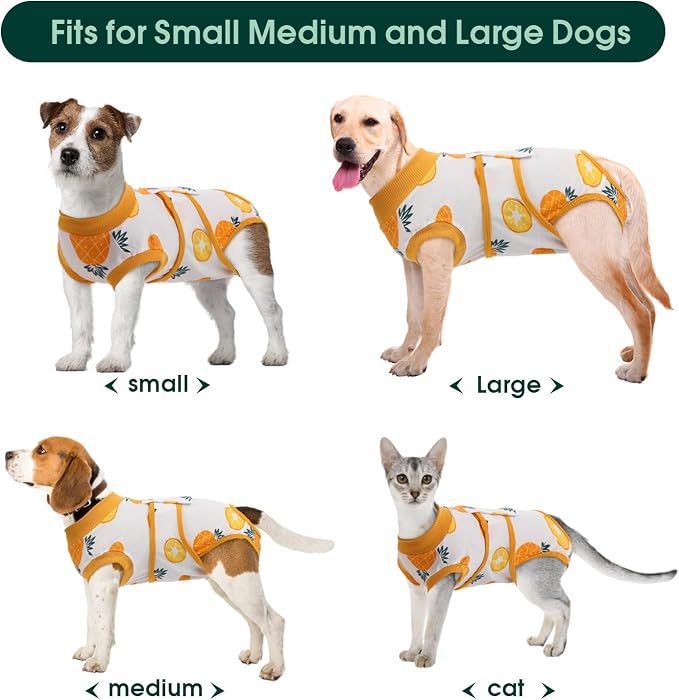 Kuoser Recovery Suit for Dogs Cats After Surgery, Professional Pet Recovery - Image 3