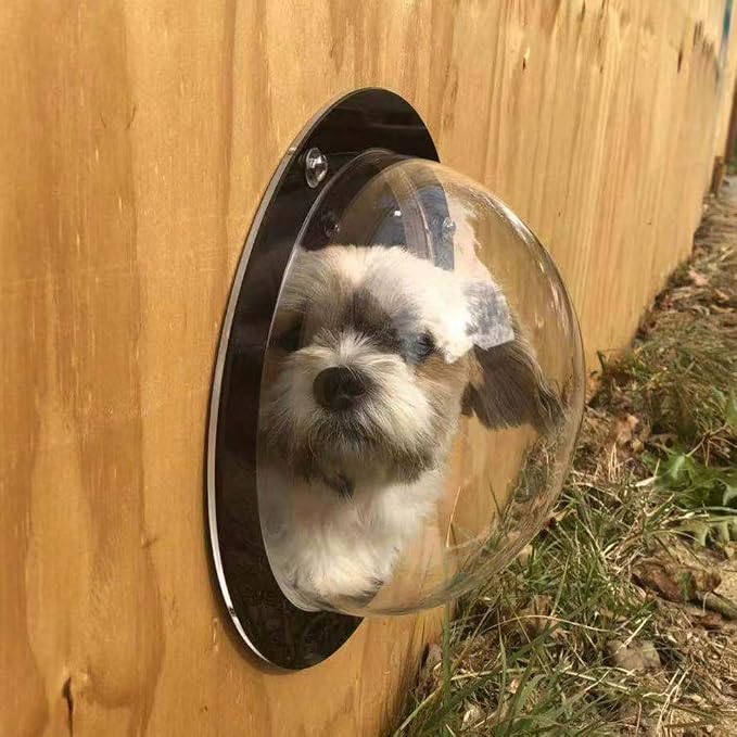 Dog Fence Window - Image 2