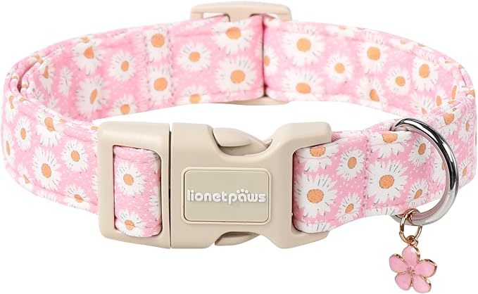 Lionet Paws Floral Dog Collar- Cute Daisy Pink Dog Collars by lionetpaws