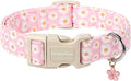 Lionet Paws Floral Dog Collar- Cute Daisy Pink Dog Collars by lionetpaws