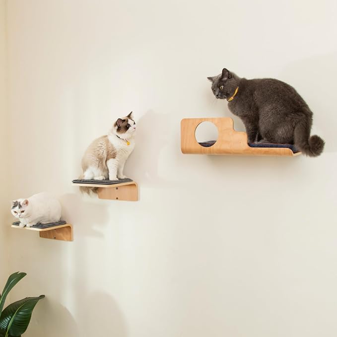 Cat Wall Shelves with 2 Steps, Creative Design Cat Shelf with Peephole - Image 6