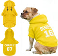 Custom Name Dog Hoodie, Personalized Pet Name Sweatshirt by Unknown