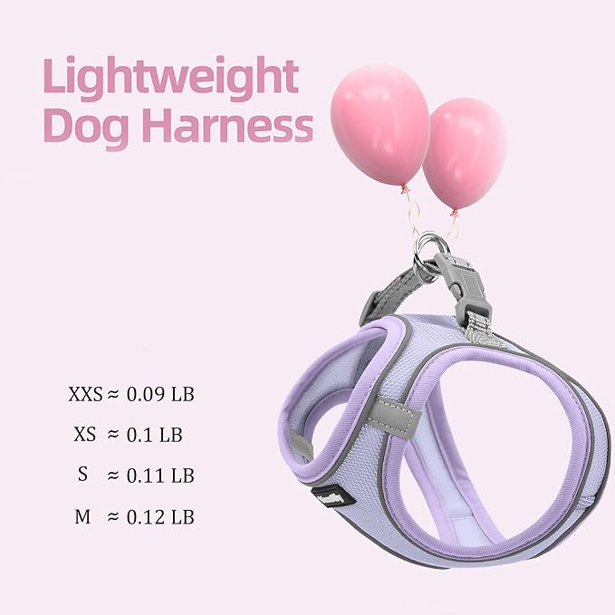 Sparkly Dog Harness Small Sized and Leash Set - Image 4
