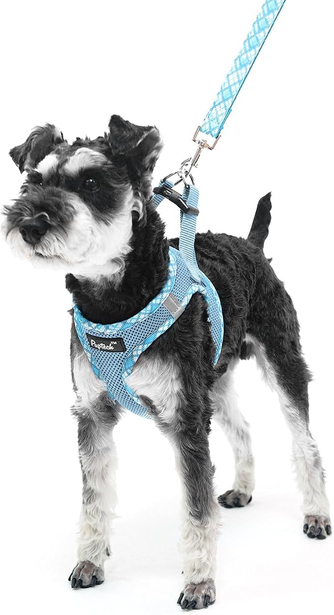 PUPTECK Dog Harness and Leash Set - Image 6