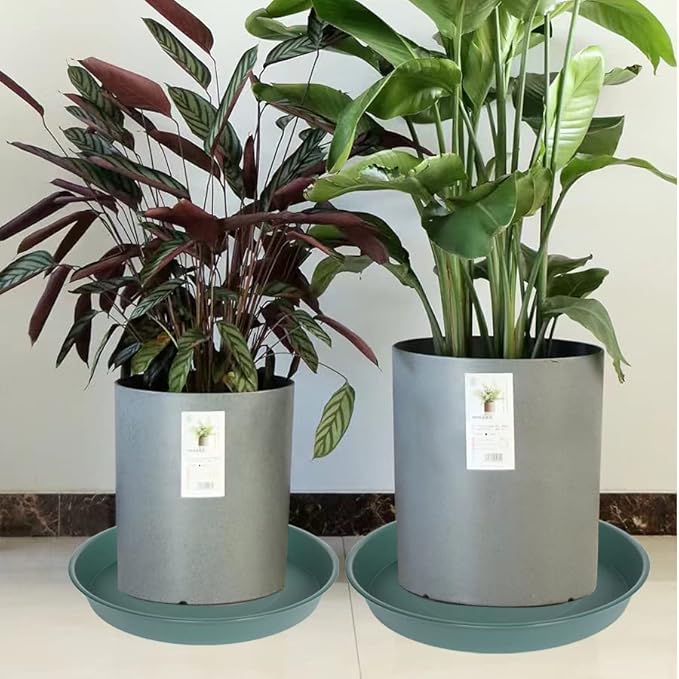 4 Pack of 16 17 inch Plant Saucer, 2.3" Depth, Heavy Duty Deep Plant Trays - Image 7