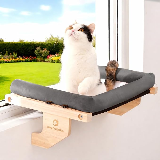 Solid Wood Cat Window Perch for Large Breeds – 40lbs Heavy Duty Cat Window by Unknown