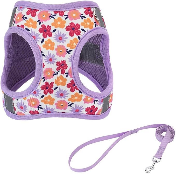 Step in Dog Harness and Leash Set, Flower Adjustable Easy Walk Puppy Harnesses by Flymind