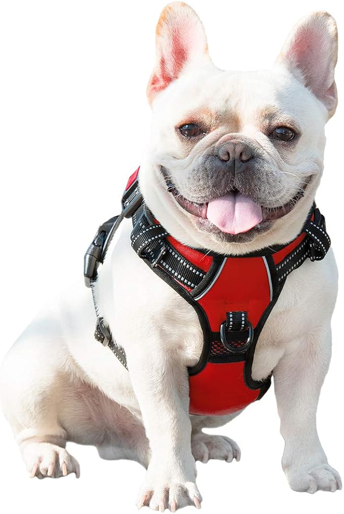 PHOEPET No Pull Dog Harnesses for Small Dogs Reflective Adjustable Front Clip - Image 8
