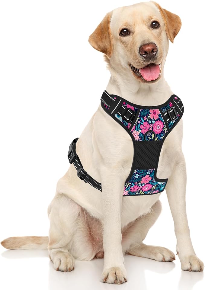 Rnivvi No Pull Dog Harness, Cute Flower Reflective Medium Sized Puppy Kitten - Image 2