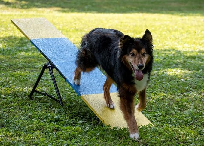 Better Sporting Dogs Practice See Saw | Dog Agility Teeter | Dog Agility - Image 7