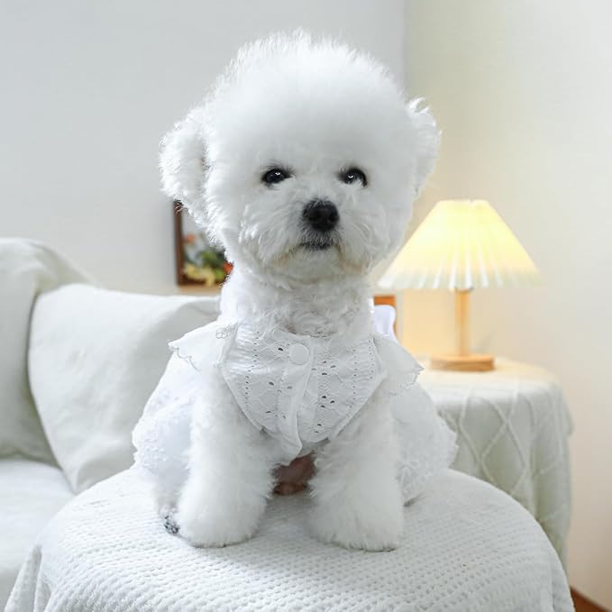 Fashion Sweet Puppy Dog Blingbling Princess Skirt Pet Dog Lace Cake Camisole - Image 4