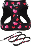PUPTECK Dog Harness and Leash Set by PUPTECK
