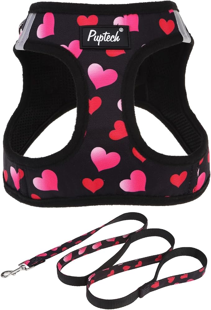 PUPTECK Dog Harness and Leash Set by PUPTECK