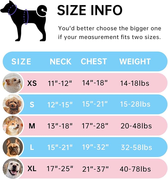 IVY&LANE No Pull Dog Harness for Small Dogs, Dog Vest Harness - Image 2