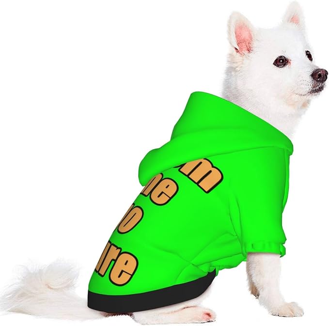 Customized Hoodie for Small Cats Add Your Design Photo Text Logo Custom Dog - Image 3
