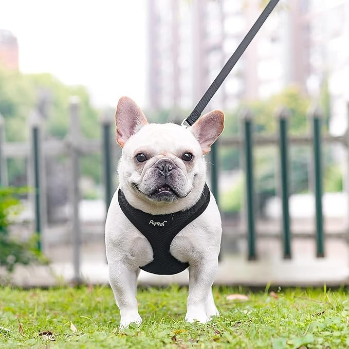 PUPTECK Soft Mesh Dog Harness and Leash Set Pet Puppy Cat Comfort Padded Vest - Image 6
