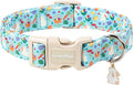Lionet Paws Easter Dog Collar- Cute White Easter Bunny Blue Dog Collars by lionetpaws
