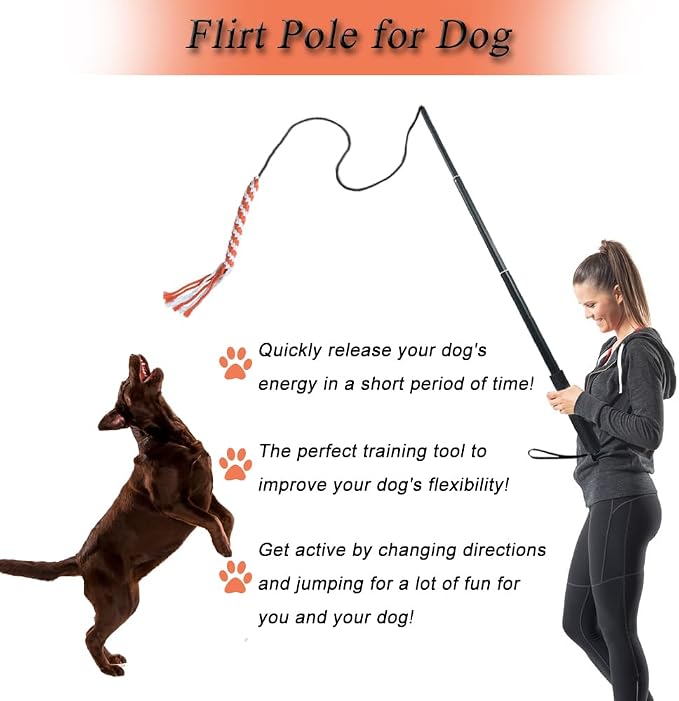 Flirt Pole for Dogs, Interactive Dog Toys for Dog Chase and Tug of War - Image 6