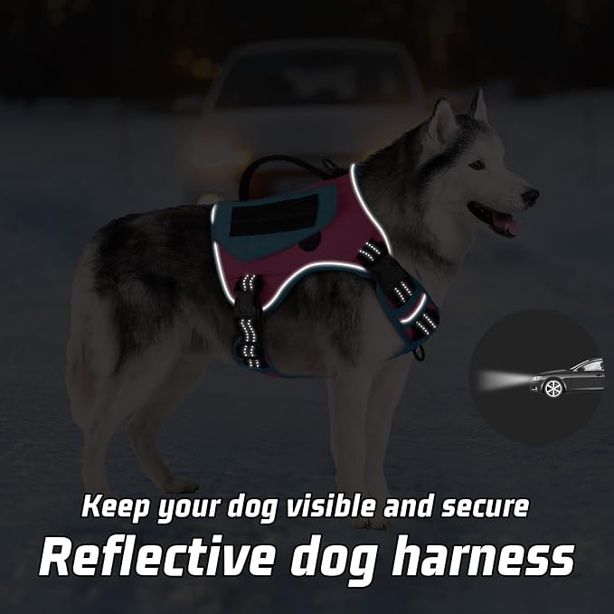 WINGOIN Tactical Dog Harness for Small Dogs, No Pull Harness - Image 3