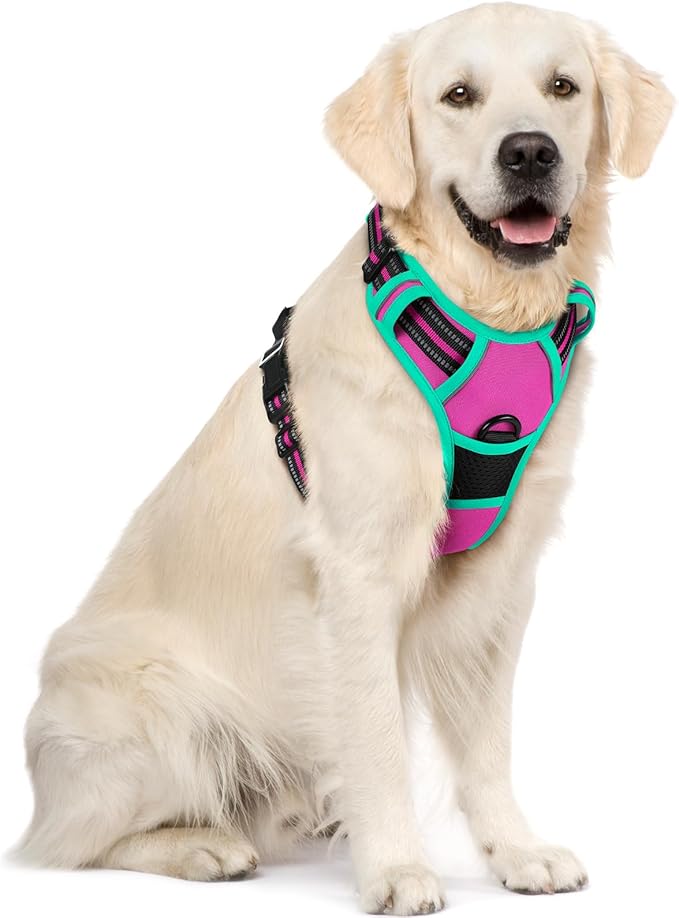 rabbitgoo Dog Harness No Pull by rabbitgoo