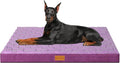 Patas Lague Orthopedic Jumbo Dog Bed by PatasLague