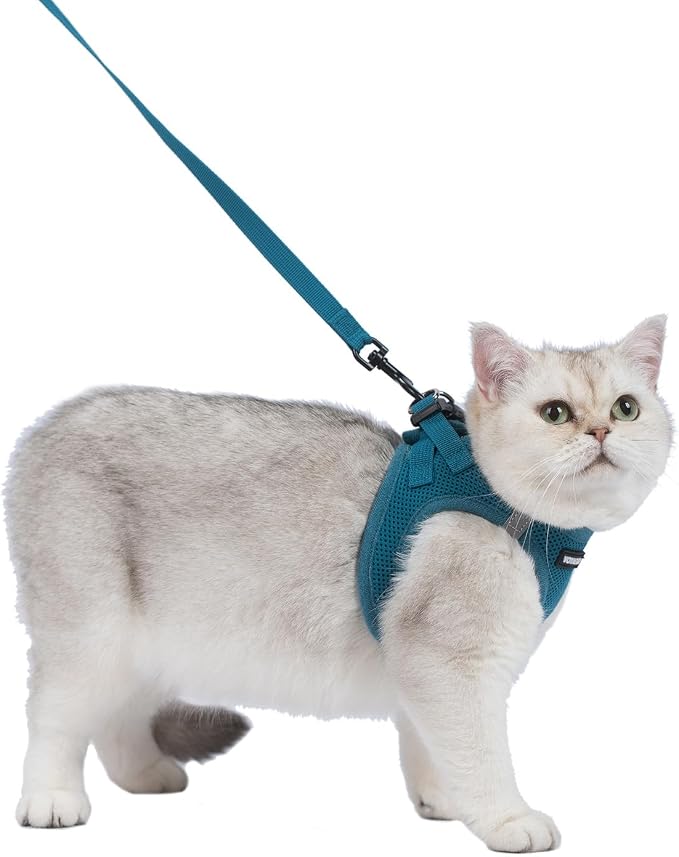 Voyager Step-in Pet Harness - Image 2