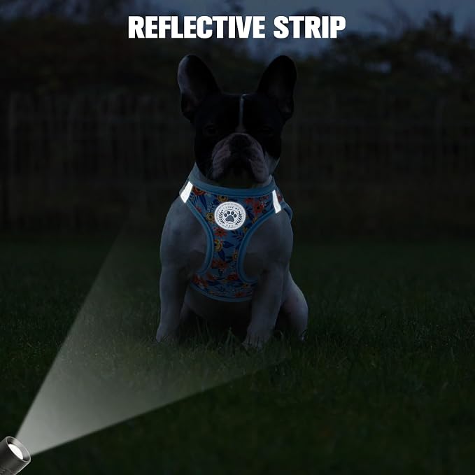 BEAUTYZOO Step in Dog Harness and Leash Set, Floral Pattern Reflective No Pull - Image 5