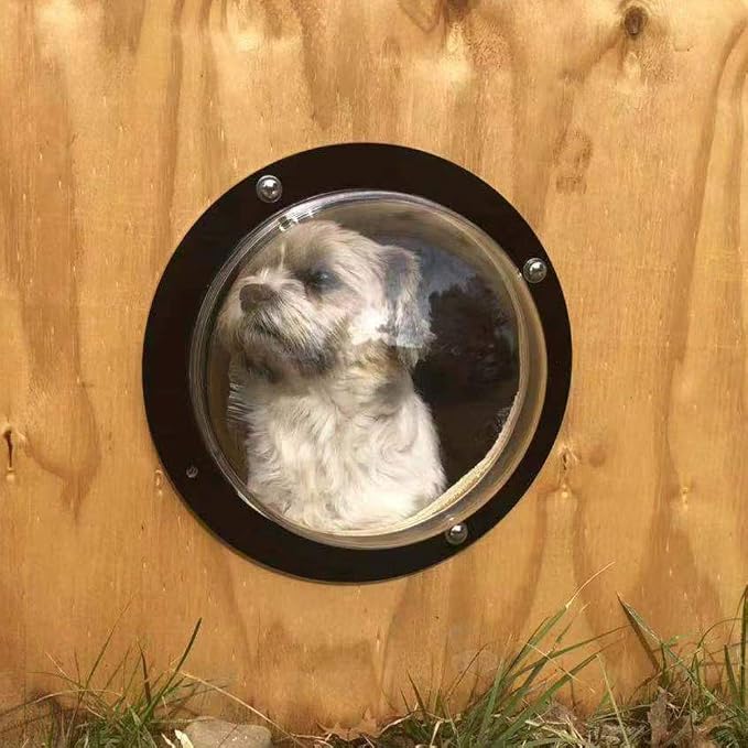 Dog Fence Window - Image 4