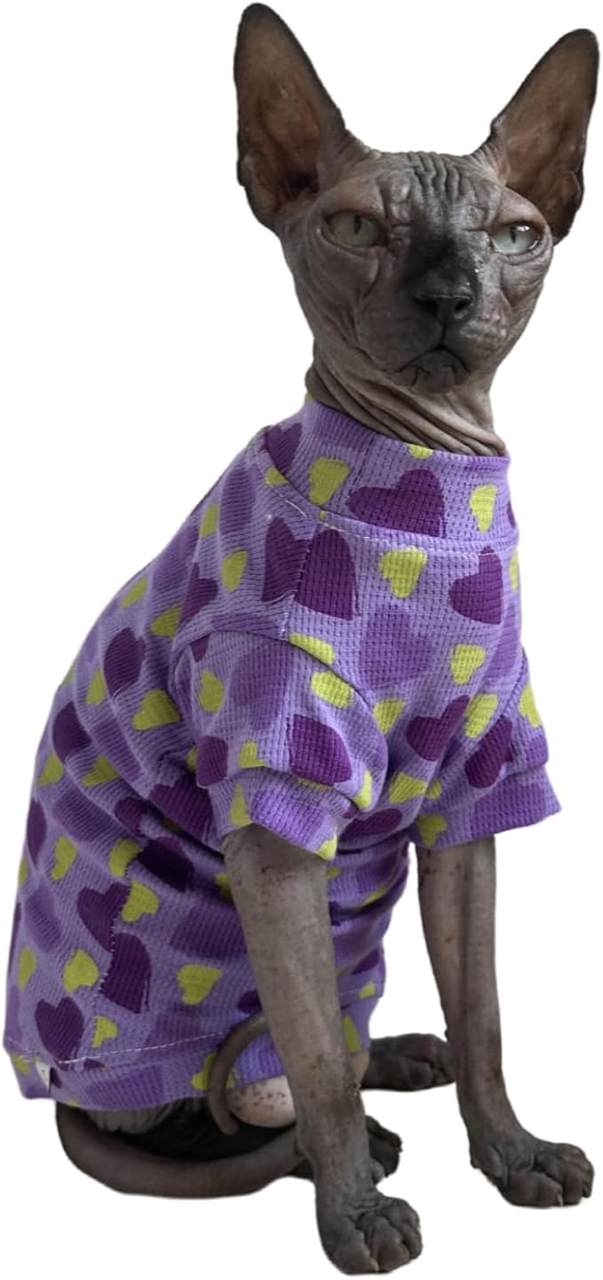 Limited Edition Sphynx Cat Cotton T-Shirts Hairless Cat Sweatshirt Pet Kitten - Image 2