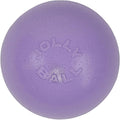 Jolly Pets Bounce-n-Play Dog Toy Ball, 4.5 Inches/Small, Light Purple by JollyPets