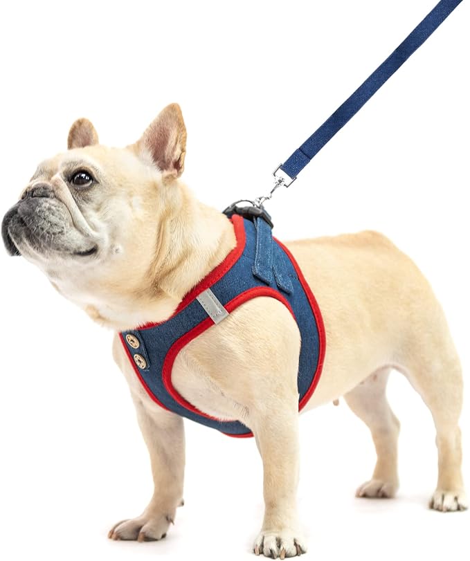 PUPTECK Dog Harness and Leash Set - Image 7
