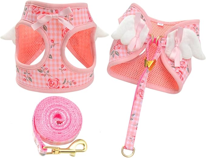 Dog Harness and Leash Set with Angle Wings, Pet Adjustable Mesh Vest Harness by BECHANMIG