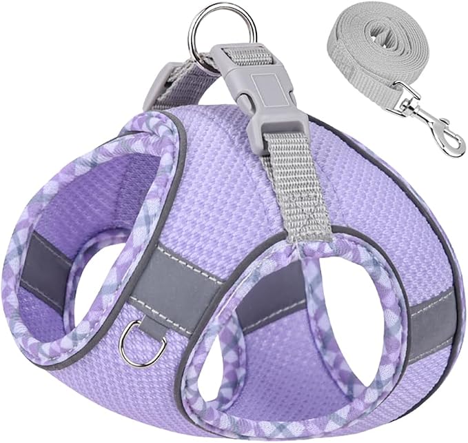 Purple XS Step-in Vest Harness and Leash Set by Flymind