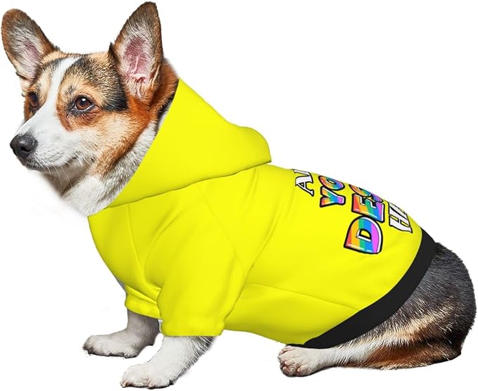 Personalized Dog Hoodie Custom Hooded Pet Warm Pullover Sweatshirt - Image 6