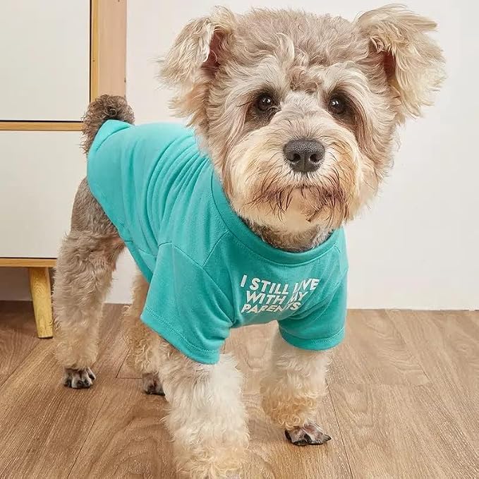 Cute Dog Clothes, T Shirt for Medium and Small Dogs Girl Boy, Puppy.Breathable - Image 2