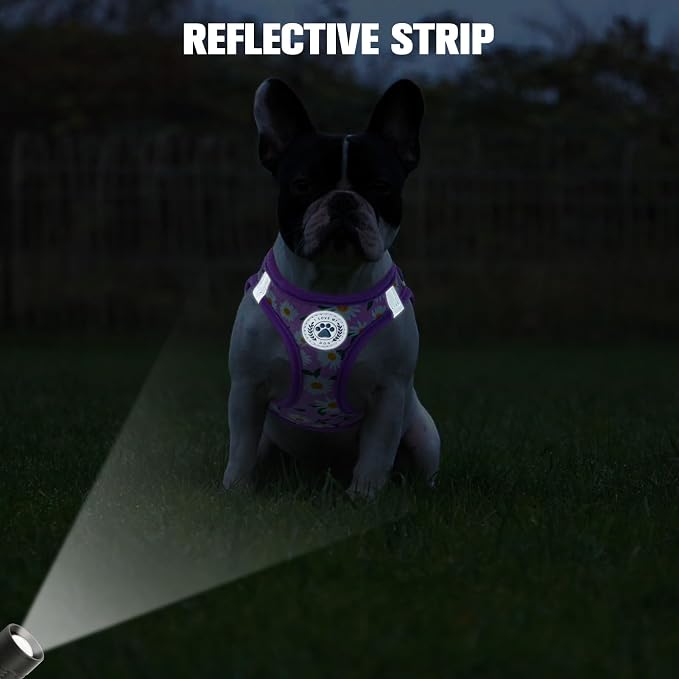 BEAUTYZOO Step in Dog Harness and Leash Set, Floral Pattern Reflective Dog - Image 4